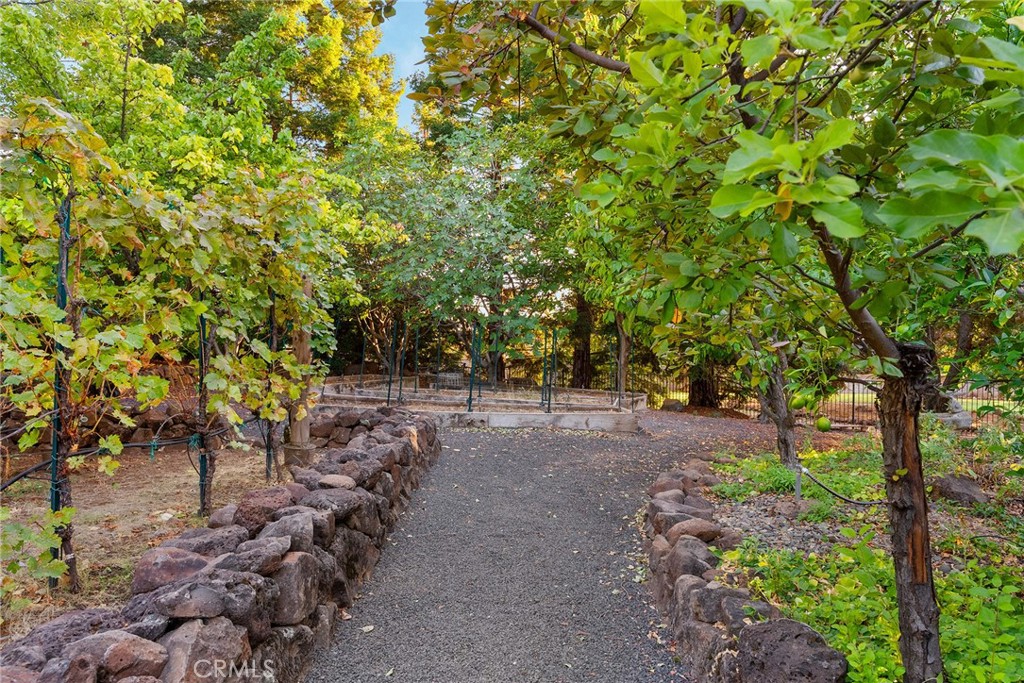 main property photo 61
