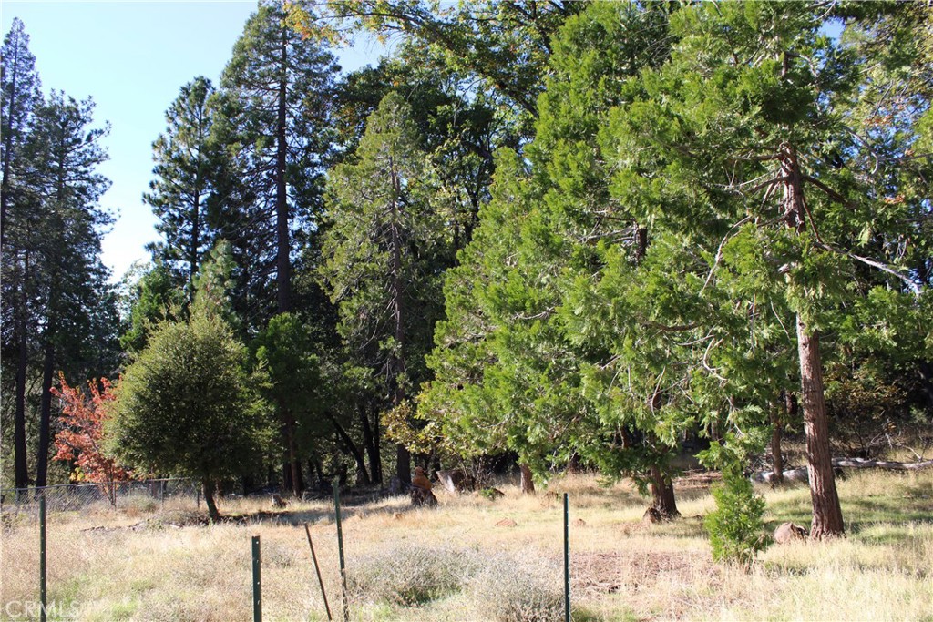 main property photo 22