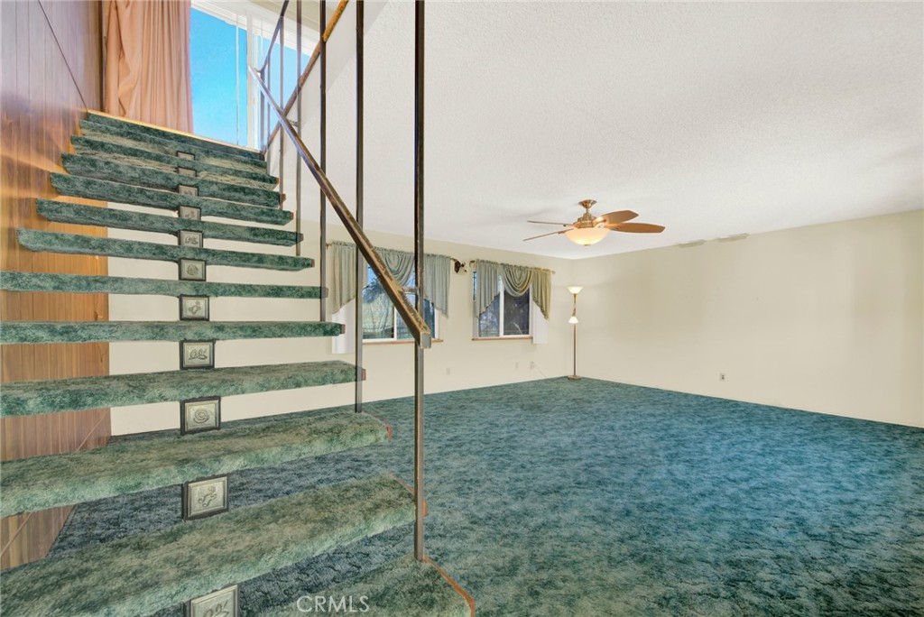 main property photo 61