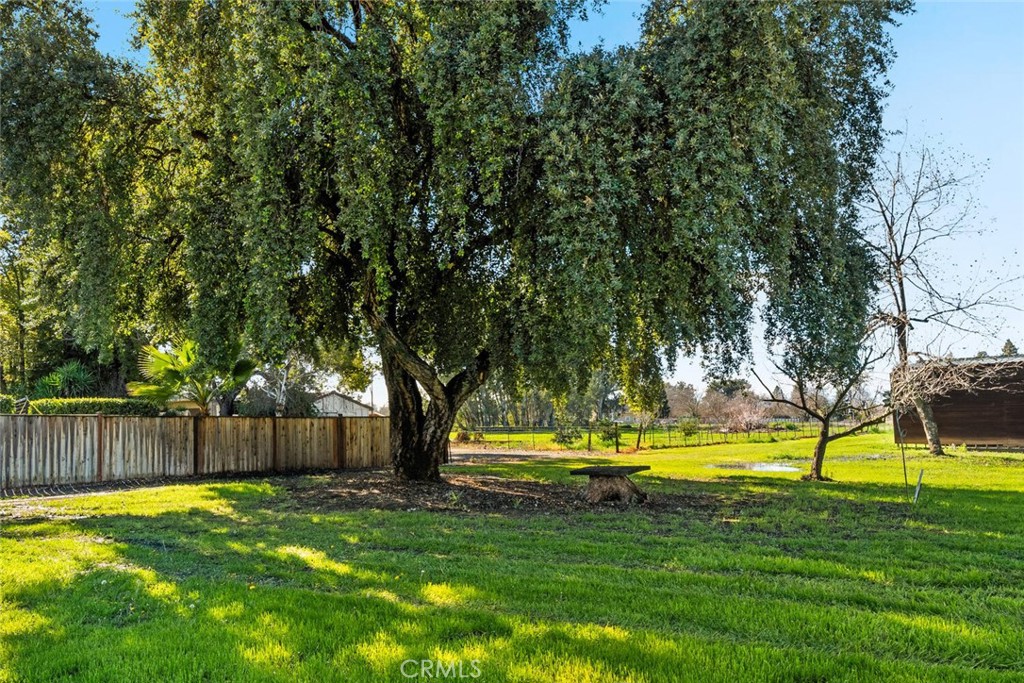 main property photo 53