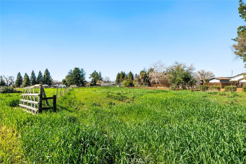 main property photo 67