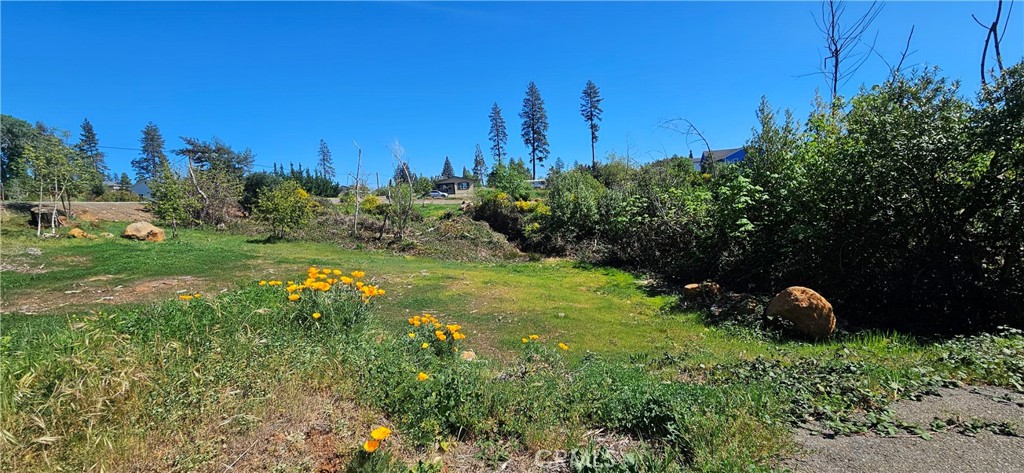 main property photo 13