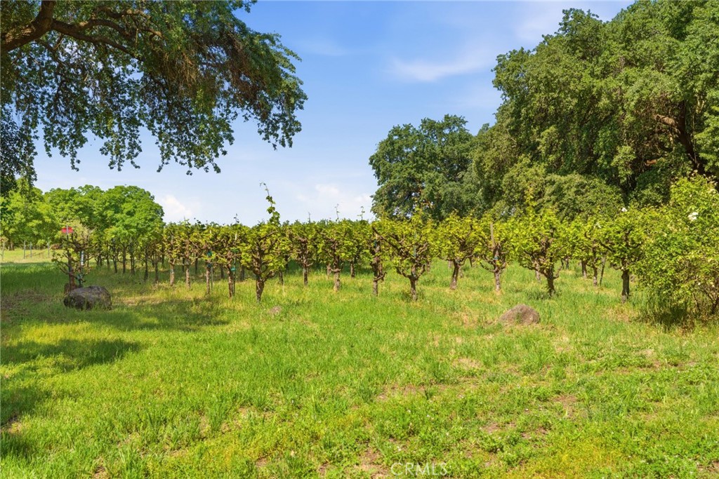 main property photo 60