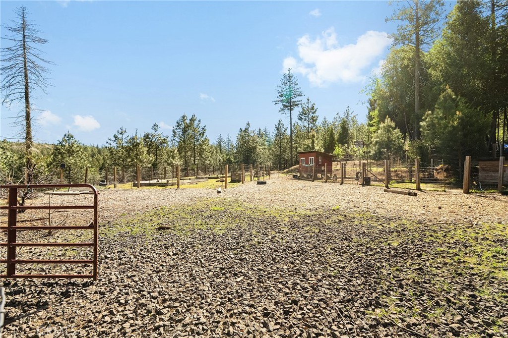 main property photo 43