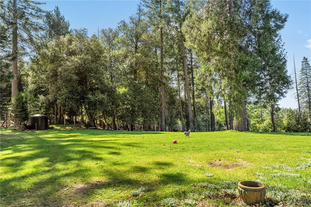 main property photo 54