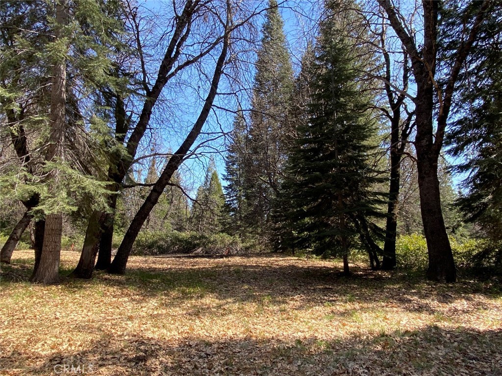 main property photo 37
