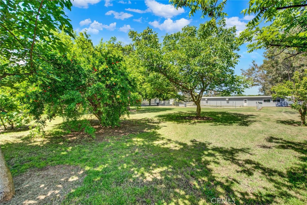 main property photo 68