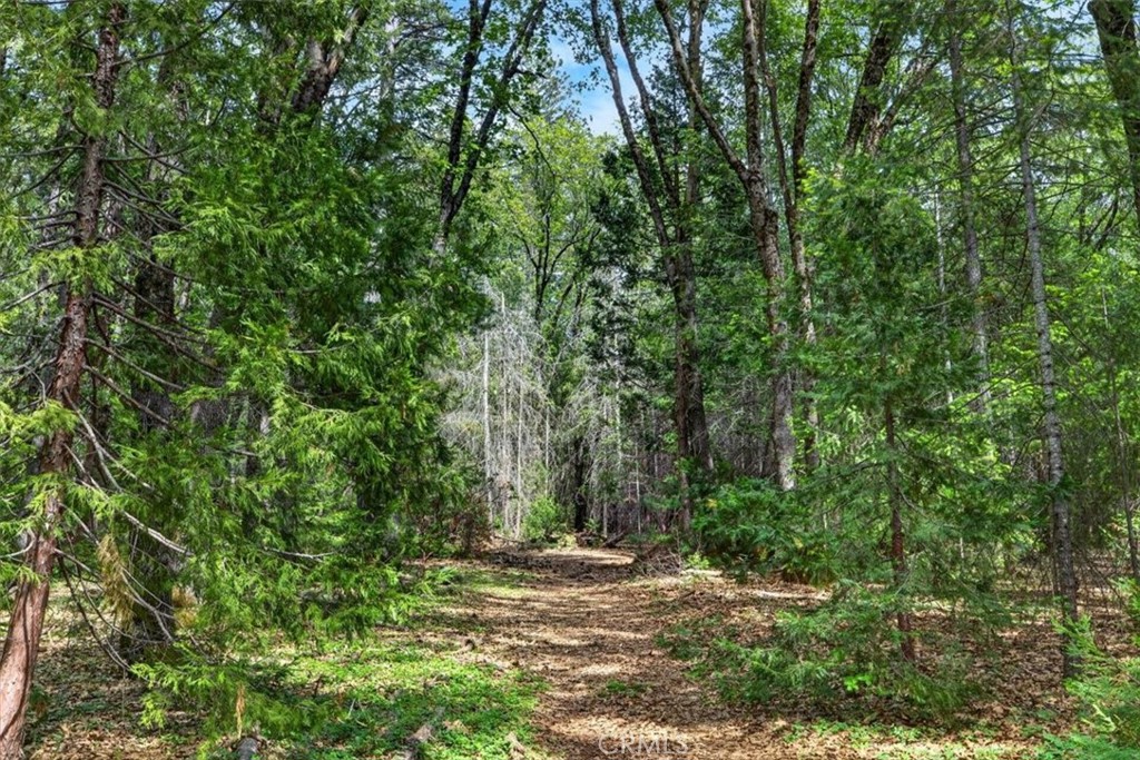 main property photo 29