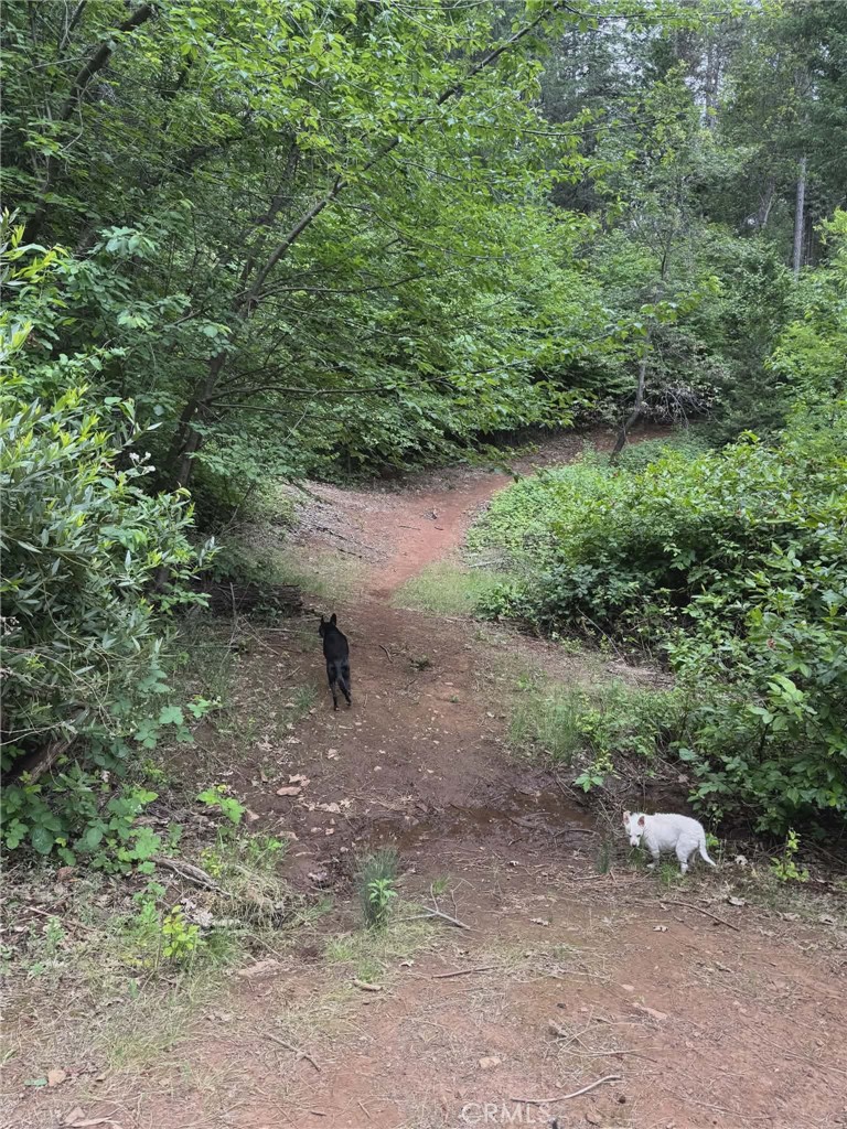 main property photo 64
