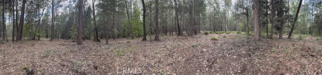 main property photo 66