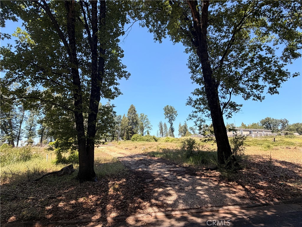 main property photo 10