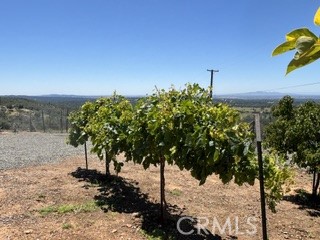 main property photo 56