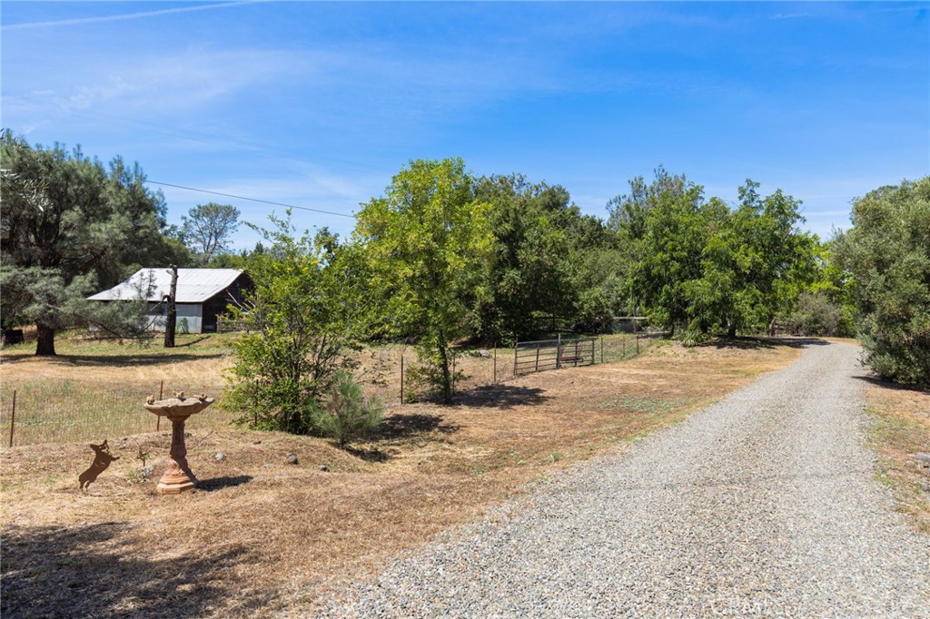 main property photo 41