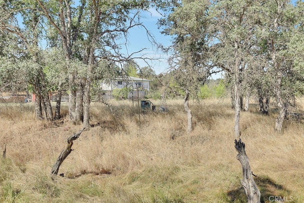 main property photo 35