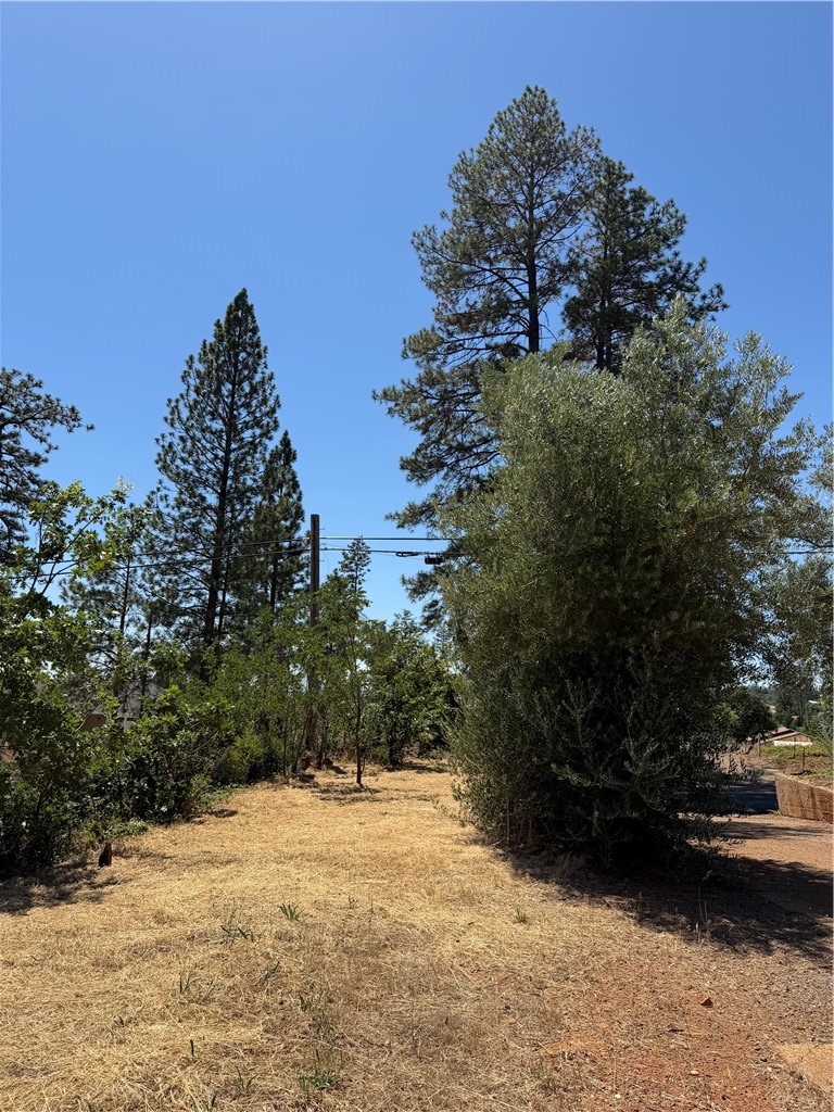 main property photo 18