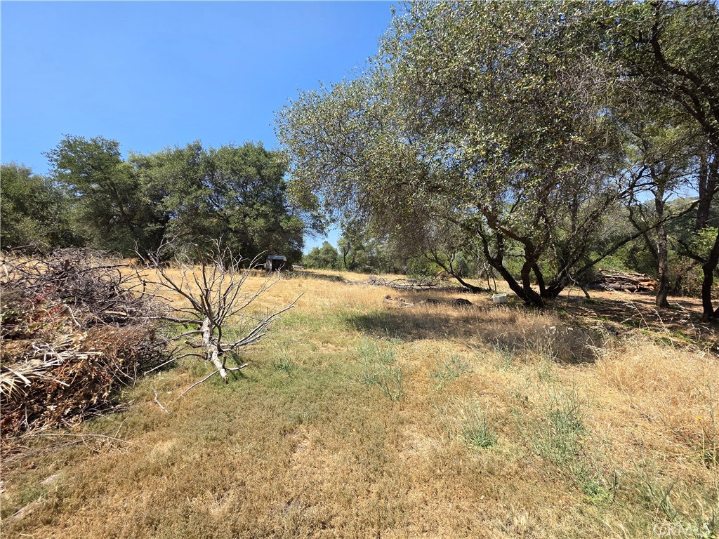 main property photo 41