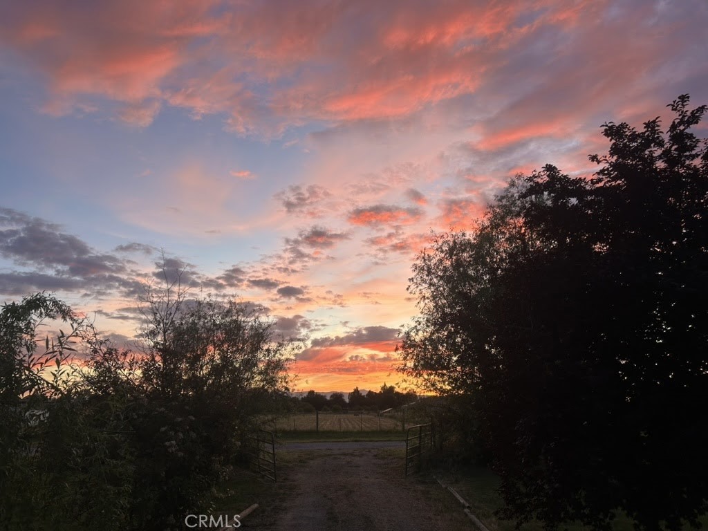 main property photo 54