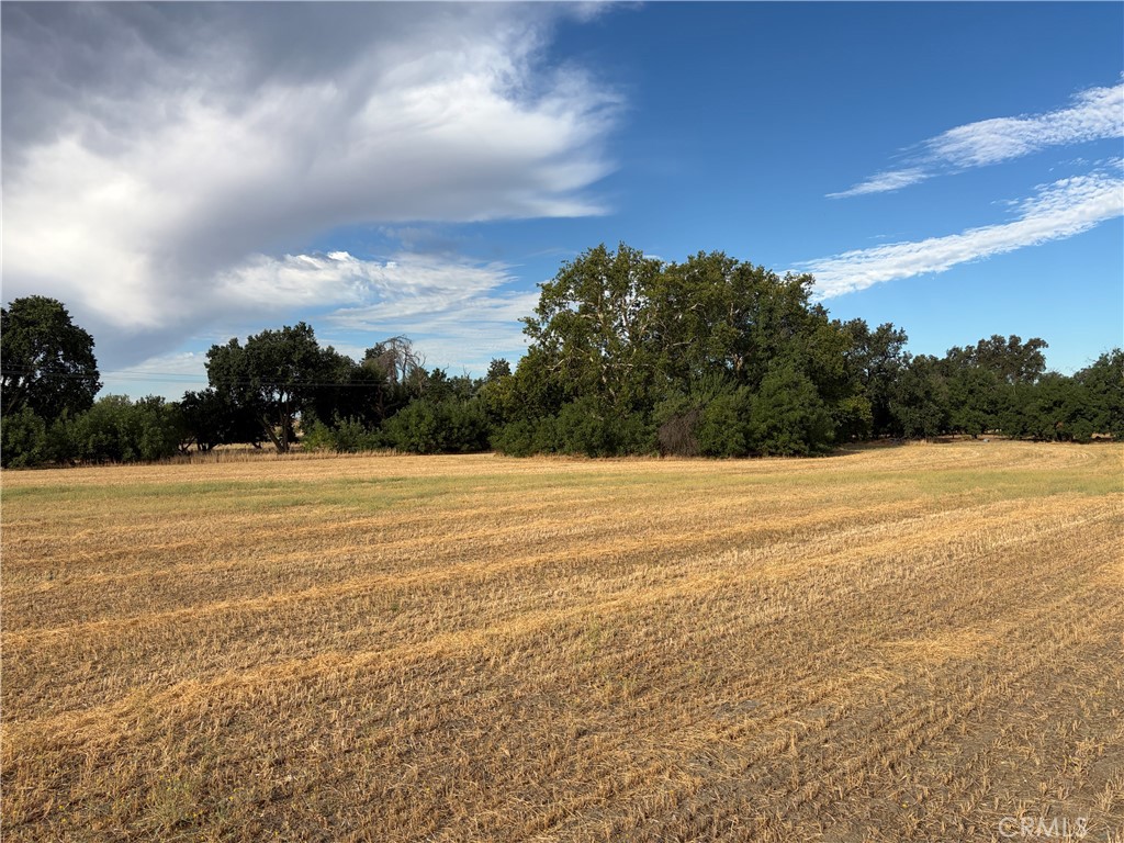 main property photo 26