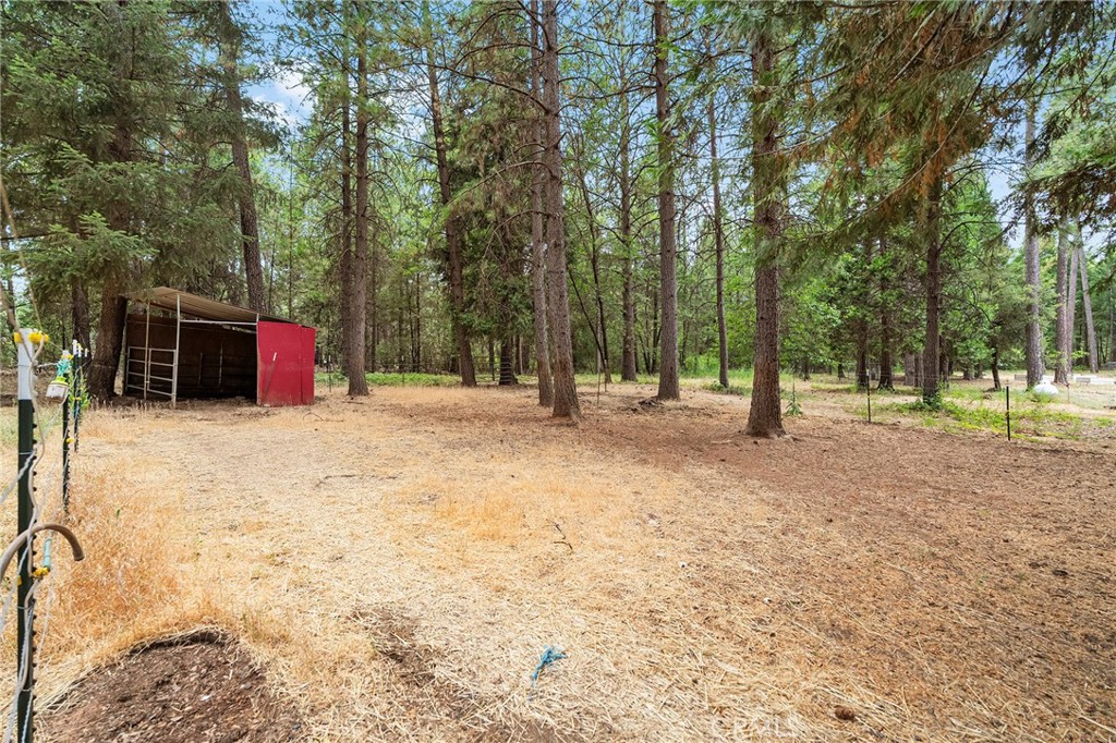 main property photo 50