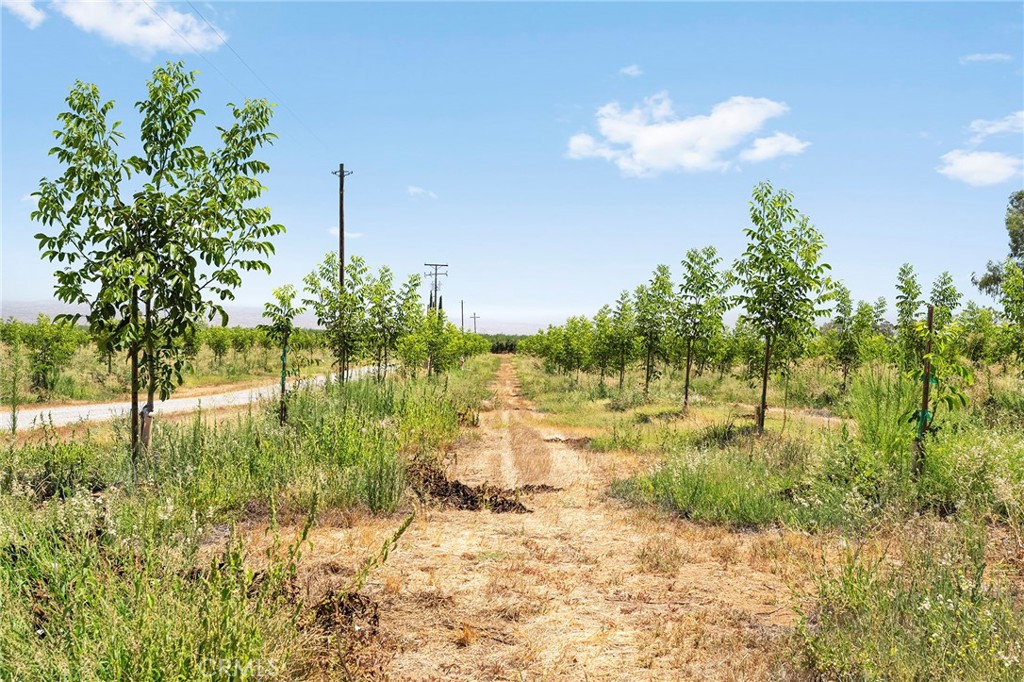 main property photo 47