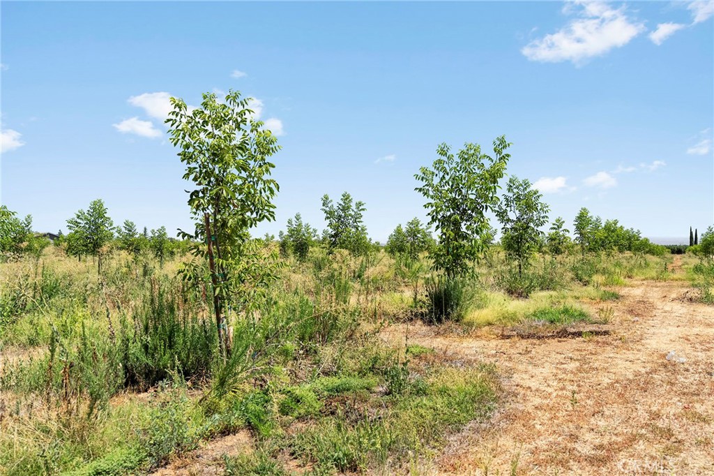 main property photo 52