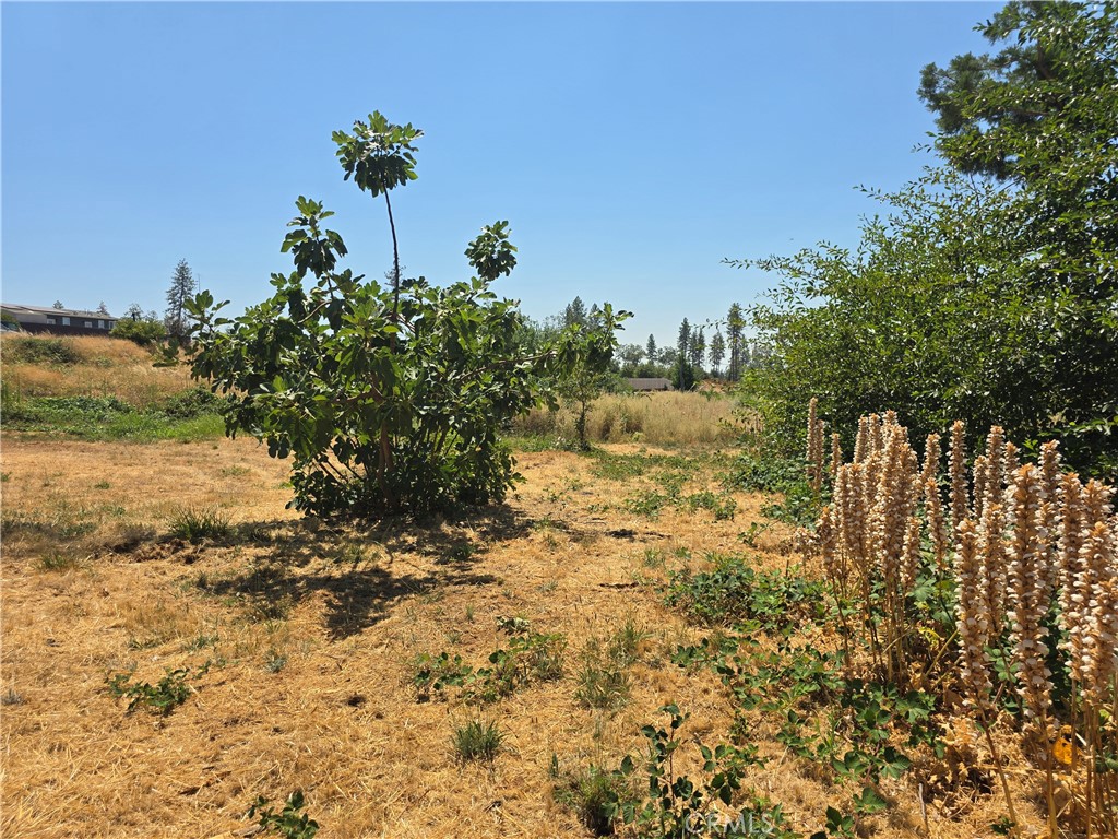 main property photo 10