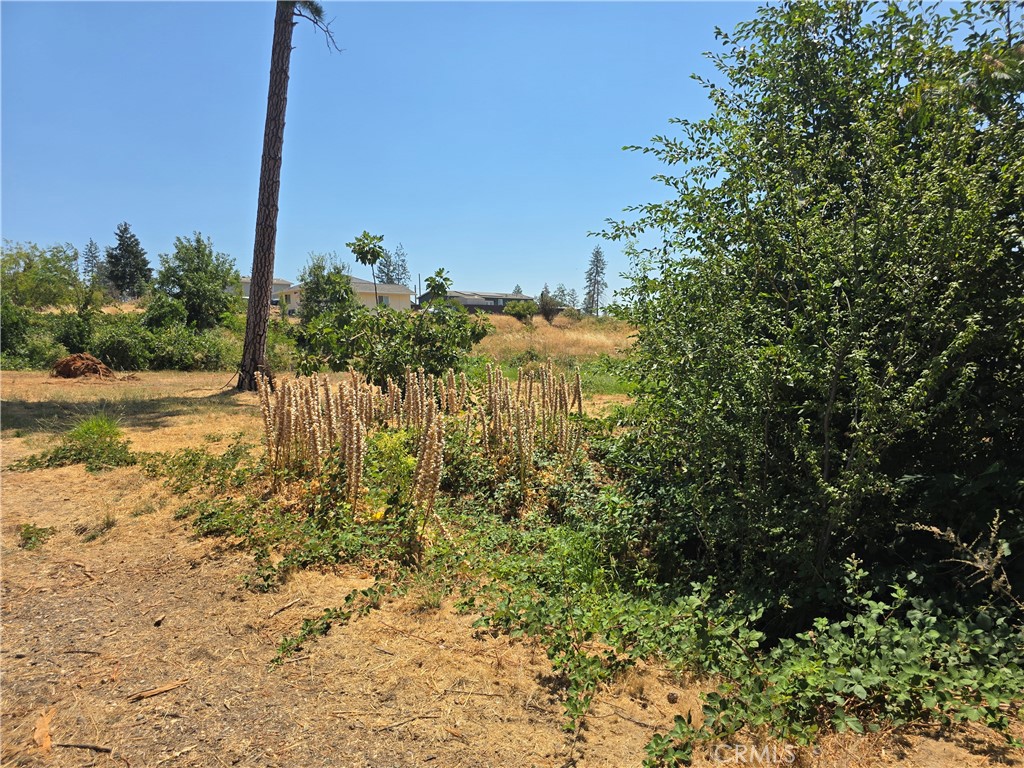 main property photo 11
