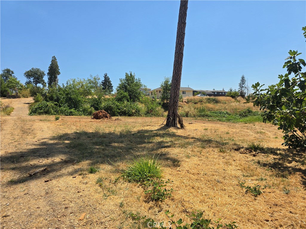 main property photo 13