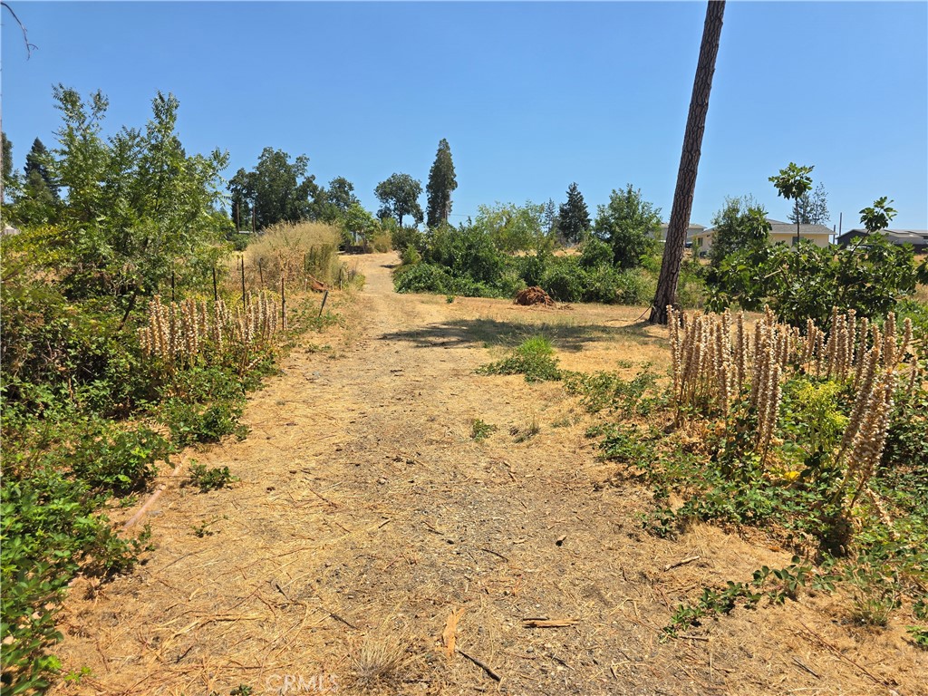 main property photo 14