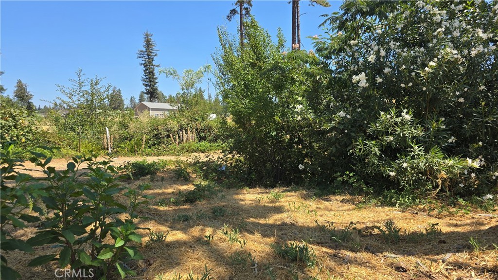 main property photo 19