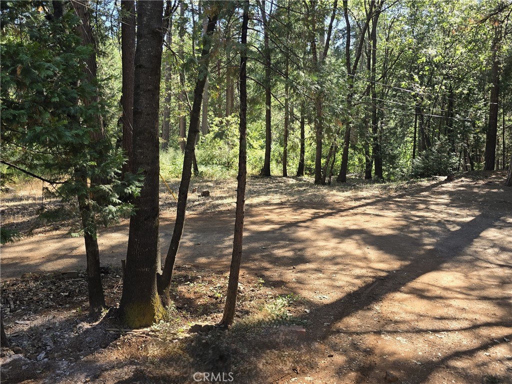 main property photo 57