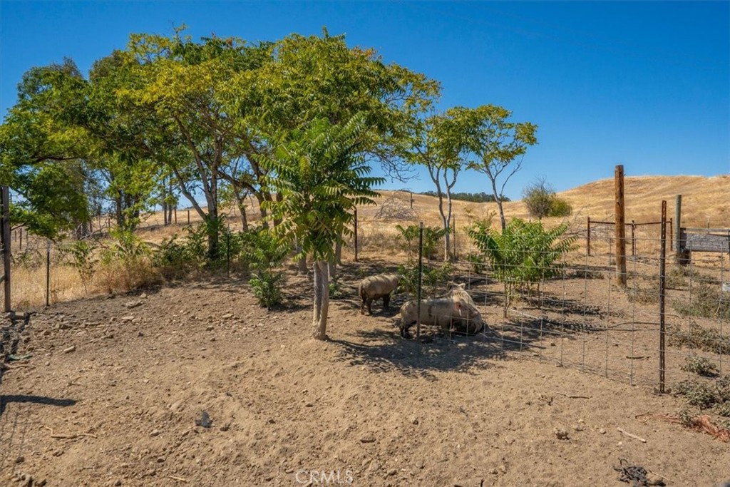 main property photo 61