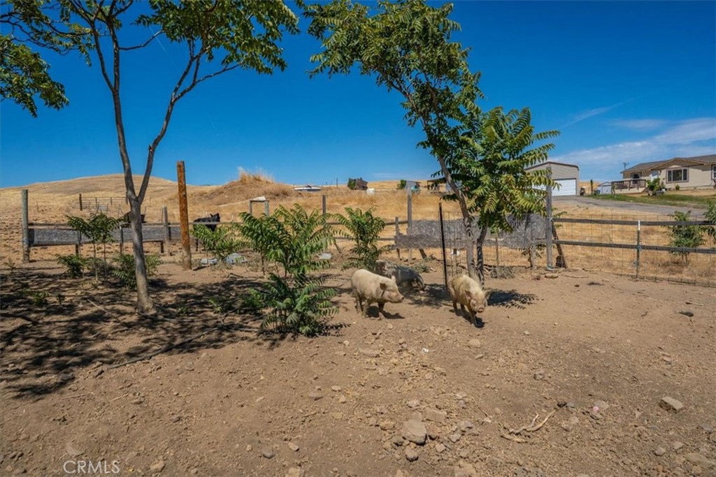 main property photo 62