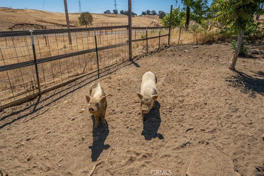 main property photo 64