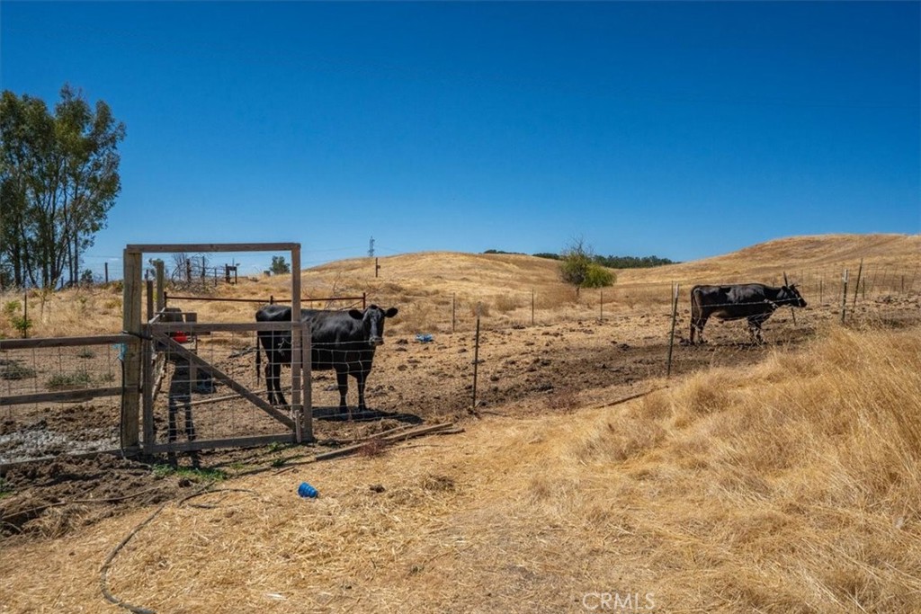 main property photo 65