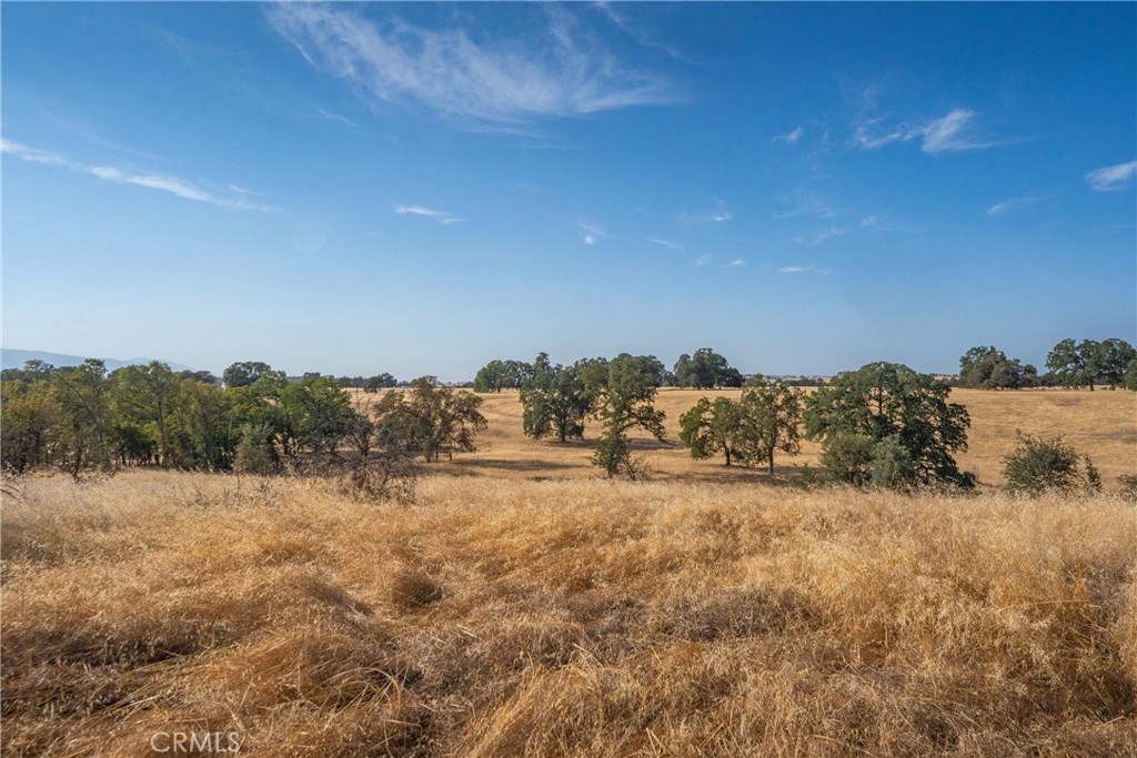 main property photo 56