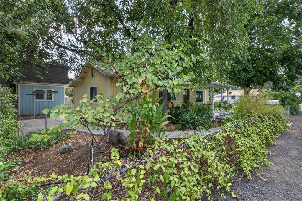 main property photo 43