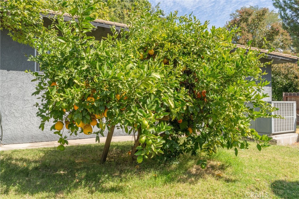 main property photo 53