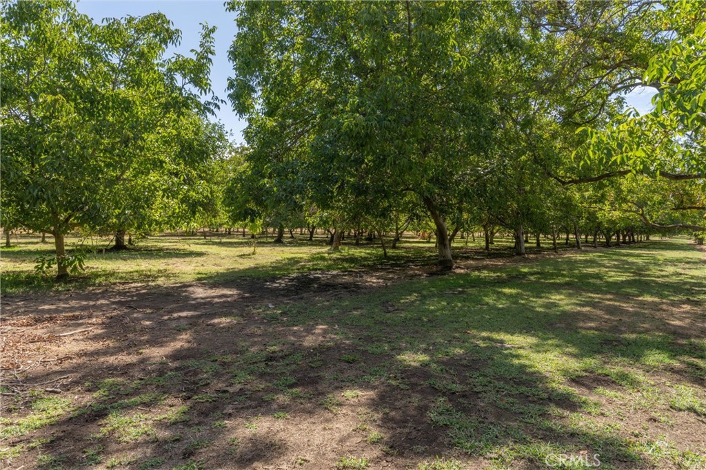 main property photo 56