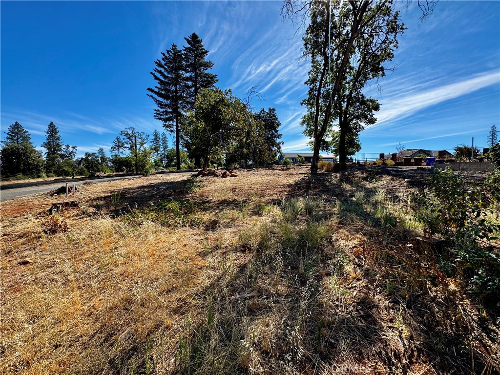 main property photo 9