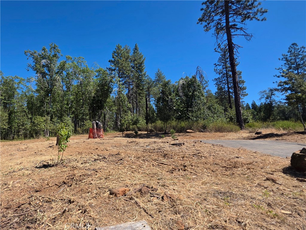 main property photo 10