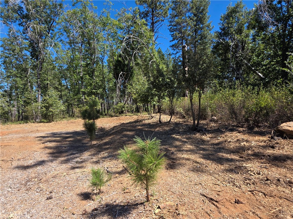 main property photo 9