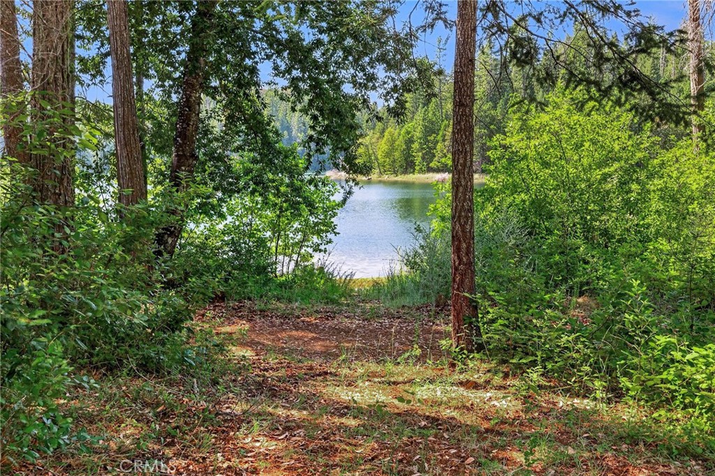 main property photo 59