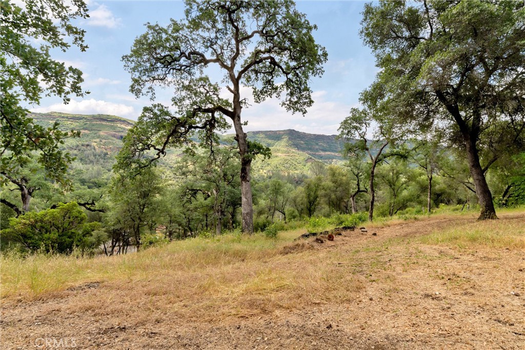 main property photo 59