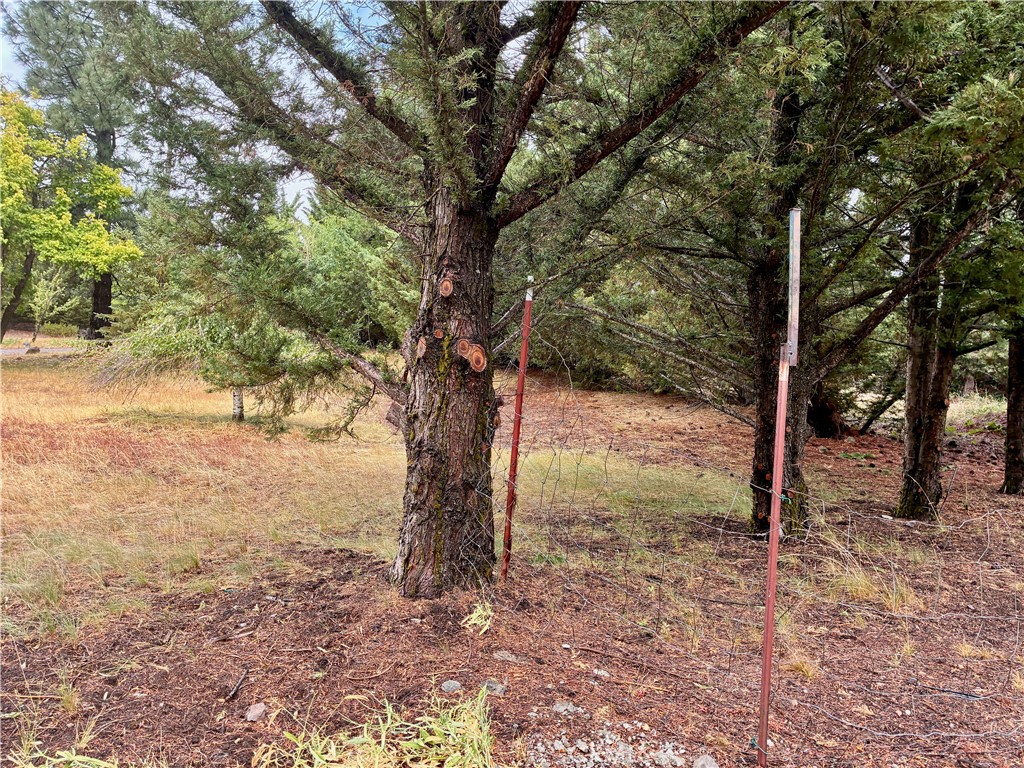 main property photo 22