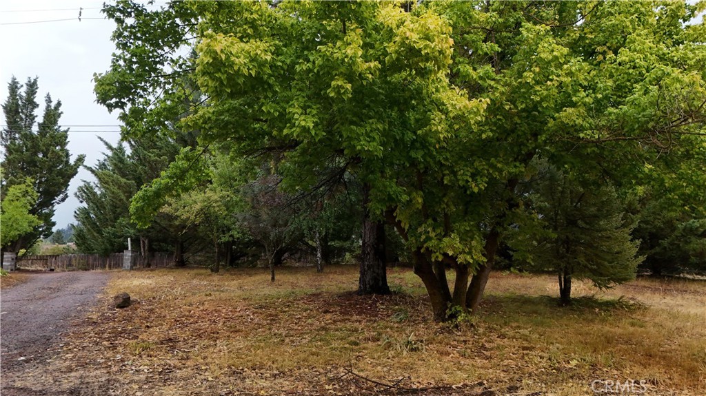 main property photo 33