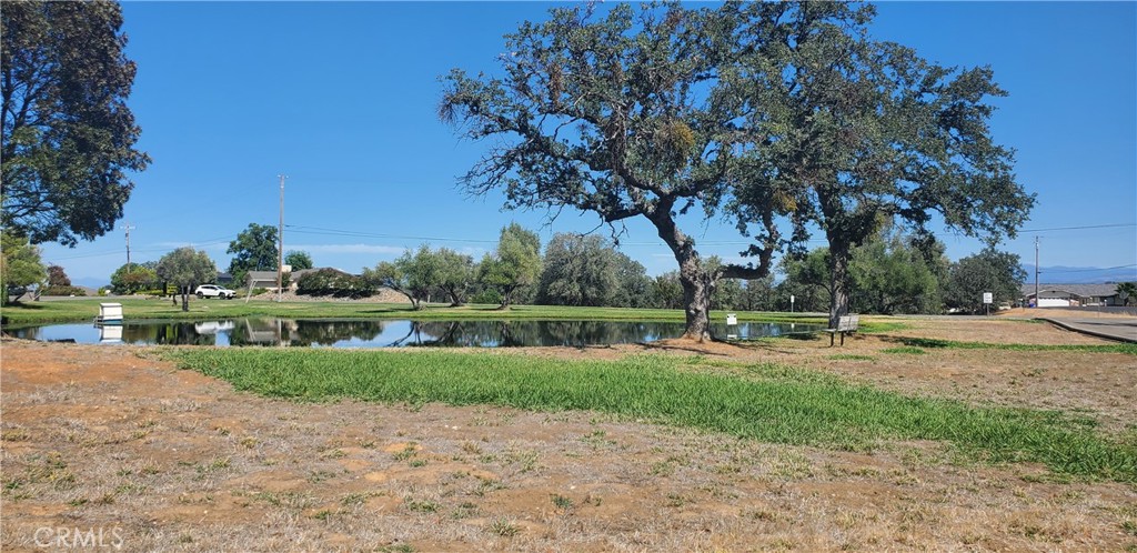 main property photo 10
