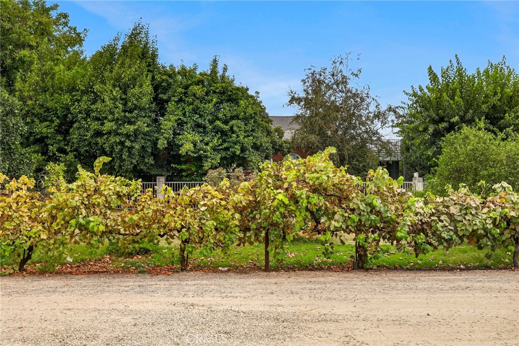 main property photo 57