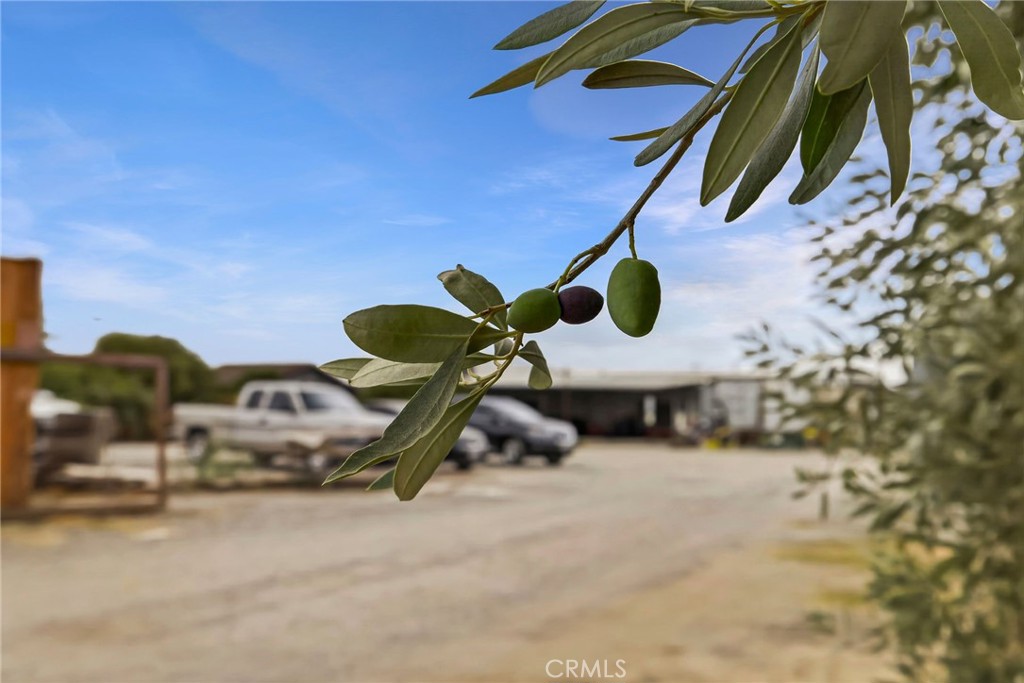 main property photo 61