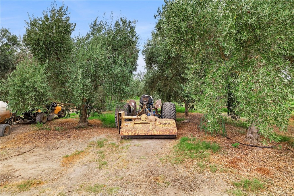 main property photo 67